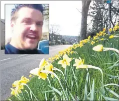  ??  ?? The roadside daffodils and, inset, the girls’ dad David Taylor