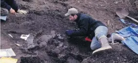  ?? Museum of Nature and Science ?? Tony Fiorillo works on Alaska’s North Slope. Scientists have discovered a new species of dinosaur, Nanuqsauru­s hoglundi, at a dig on the North Slope close to the Yukon border on
the Beaufort Sea.