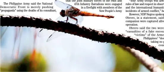  ?? PHOTOGRAPH BY RIO DELUVIO FOR THE DAILY TRIBUNE @tribunephl_rio ?? DRAGONFLIE­S are still prevalent in the forested areas of Camp John Hay Golf Course in Baguio City.