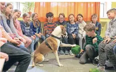  ?? NGZ-FOTO: ANJA TINTER ?? Schulhund „Frieda“ist der Star auf vier Beinen in der Jakobus-schule: Das Tier begeistert die Schüler.