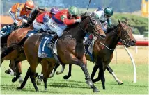  ?? PHOTO: RACE IMAGES ?? All in Vogue is seeking to back up her Wanganui Cup win with victory in the Manawatu Cup on Saturday.