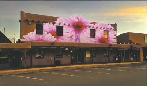  ?? COURTESY PHOTO ?? The floral projection­s are a part of ‘The Spring Out’ second annual free spring art walk.