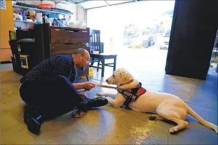  ?? NELVIN C. CEPEDA U-T ?? Adam Holwuttle, 35, spends time training Apollo, a 1-year-old white lab, in the garage at the Merakey center in Escondido. Holwuttle and his housemates are working with Apollo’s training before the young dog can be placed for adoption.