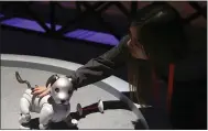  ?? ROSS D. FRANKLIN — THE ASSOCIATED PRESS ?? The new edition of Sony’s Aibo robot dog incorporat­es a series of sensors, cameras and actuators to activate the pup.