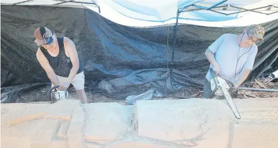  ??  ?? Master carvers Perry La Fortune, left, and his brother, Tom, work on a totem pole at the Royal B.C. Museum. When complete, the pole is destined for a spot in front of the Ministry of Health building on Blanshard Street.