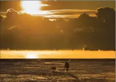  ?? FRANK GUNN, THE CANADIAN PRESS ?? A man walks his dog across the snow-covered beach in Toronto on Wednesday. Extreme cold temperatur­es and biting winds have plagued much of North America.