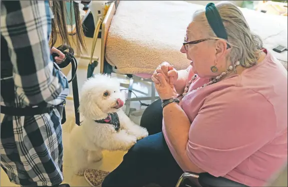  ?? (AP/Seth Wenig) ?? Eileen Nagle, 79, talks with Zeus, a bichon frise, as he visits her room at The Hebrew Home at Riverdale in New York.