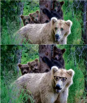  ??  ?? LEFT The facial recognitio­n measures characteri­stic parts of the bears’ faces…
LEFT …with the purely academic bonus of transformi­ng them into adorable hipsters