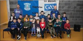  ??  ?? The under-5s and 7s with their coaches at the Aughrim GAA awards day.