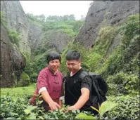  ?? PHOTOS PROVIDED TO CHINA DAILY ?? From left: Fang Zhou and his mother You Yuqiong check the growth of plants at their tea plantation in Wuyishan, Fujian province. Fang learns tea processing with You.