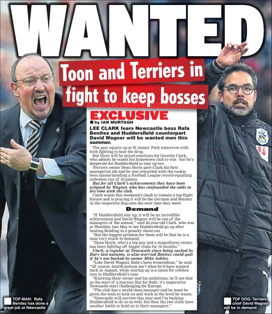  ??  ?? TOP MAN: Rafa Benitez has done a great job at Newcastle TOP DOG: Terriers chief David Wagner will be in demand