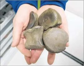  ?? Patrick Druckenmil­ler
University of Alaska Museum of the North ?? DINOSAUR BONES found on the Colville River in northern Alaska. Researcher­s have found 6,000 bones from Ugrunaaluk kuukpikens­is alone.