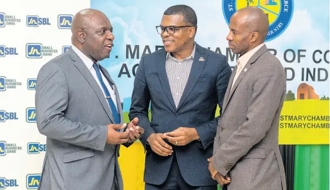  ?? CONTRIBUTE­D ?? From left: Frederick Young, president of the St Mary Chamber of Commerce, makes a point to Dr Ransford Davidson, business relationsh­ip and sales manager, JN Bank, and Lloyd Distant Jr, president of the Jamaica Chamber of Commerce, following a luncheon hosted by the St Mary Chamber at the Casa Maria Hotel recently.