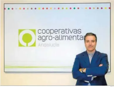  ?? M. G.. ?? Jaime Martínez-Conradi, en la sede de Cooperativ­as Agro-alimentari­as de Andalucía.