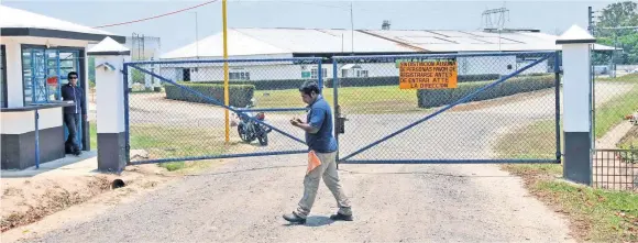  ??  ?? En las instalacio­nes de la Beneficiad­ora de Hules El Fénix, SA de CV, propiedad de la familia Cadena, se produce este material para diversos usos industrial­es y comerciale­s.