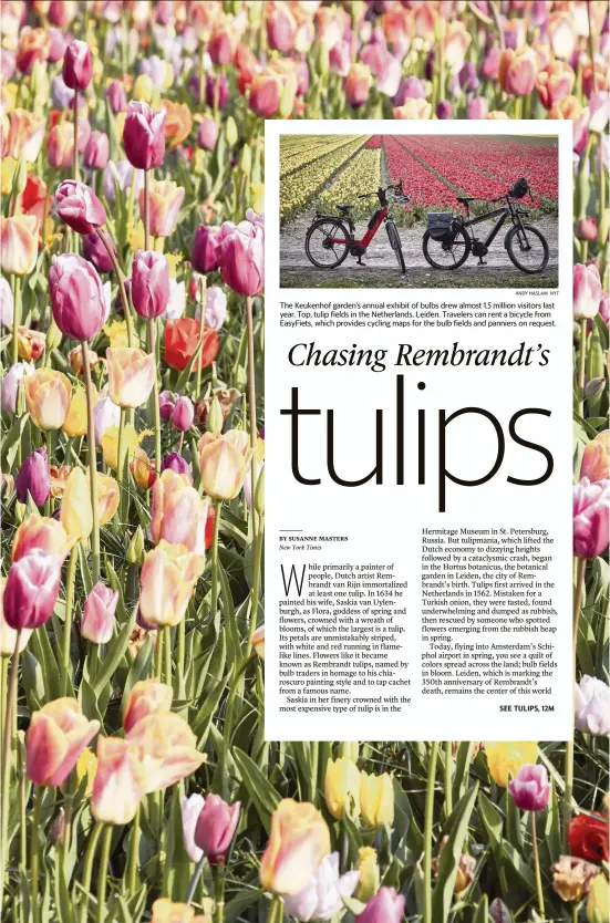  ?? ANDY HASLAM NYT ?? The Keukenhof garden’s annual exhibit of bulbs drew almost 1.5 million visitors last year. Top, tulip fields in the Netherland­s. Leiden. Travelers can rent a bicycle from EasyFiets, which provides cycling maps for the bulb fields and panniers on request.