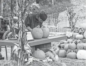  ?? MATTHEW ODOM ?? Arensberg works on his pumpkin in “Outrageous Pumpkins.”