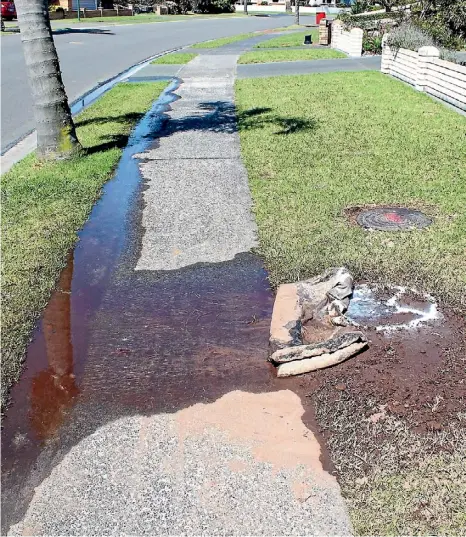  ?? JAY BOREHAM ?? Residents are enraged Watercare call for them to conserve water when it dragged its feet fixing a leak.