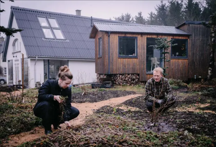  ?? ?? Peter Edward Gravesen Cox bor i et tiny house med sin partner, Marie Gravesen Cox, i Kolind. Foto: Martin Thomas Ford