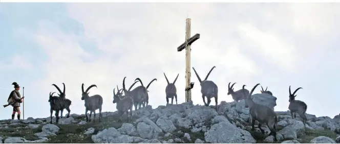  ??  ?? Steinbock-Wallfahrt zum Gipfelkreu­z der Hohen Weichsel (2006 m): „Dann wird zusammen gebetet und gejausnet“, sagt Schatz, der mit Tracht und Hut ganz links auf dem Bild zu sehen ist