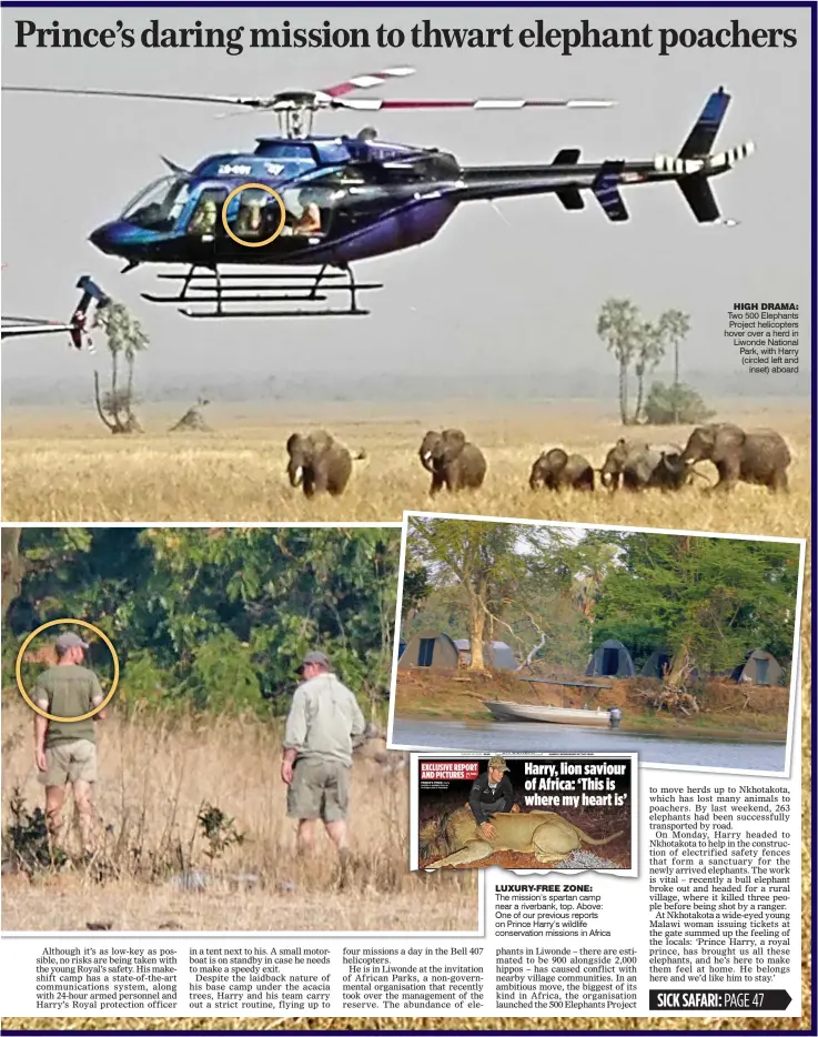  ??  ?? LUXURY-FREE ZONE: The mission’s spartan camp near a riverbank, top. Above: One of our previous reports on Prince Harry’s wildlife conservati­on missions in Africa HIGH DRAMA: Two 500 Elephants Project helicopter­s hover over a herd in Liwonde National...