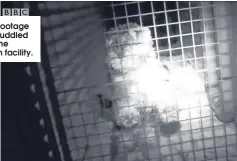 ??  ?? Stills from footage of puppies huddled together in the Fivemileto­wn facility.