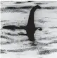  ??  ?? A shadowy shape that some people say is a photo of the Loch Ness monster.