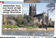  ??  ?? SHOCKING: Croc was found at high voltage facility in sleepy Worcester