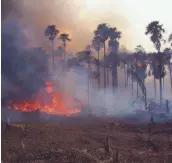  ?? © NIGEL DICKINSON/WWF ?? Incendi in Brasile