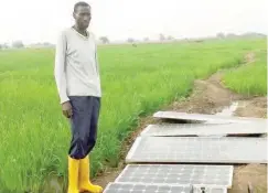  ?? ?? Taraba irrigation farmer