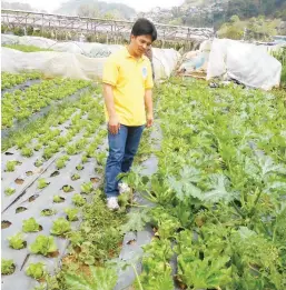  ??  ?? UNIVERSITY STAFF IS ORGANIC GROWER, TOO – Cus Kilakil, a staff of Research Services at BSU also rents his own 500 sq.m. at the BSU Organic Urban Farm where he grows lettuce, French beans and zucchini. He is shown here looking at his plot planted to...