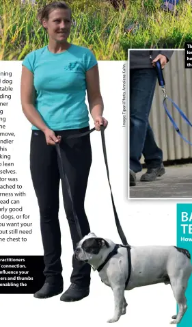  ??  ?? Traditiona­lly Tellington TTouch practition­ers have led dogs from two points of connection. Even how you hold the lead can influence your dog’s experience — note the fingers and thumbs pointing down towards the dog, enabling the handler to give softer signals.
The TTouch Liberty Lead is adjustable in length and has a sliding handle, which helps counteract any tension created by the handler hanging on or pulling back.