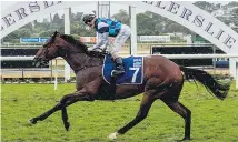  ?? Picture / NZME ?? Hasselhoof should regain the winning list at Pukekohe.