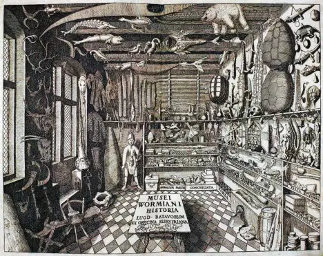  ?? (LDD) ?? Gravure représenta­nt le cabinet de curiosités du médecin, naturalist­e et collection­neur danois Ole Worm, 1655.