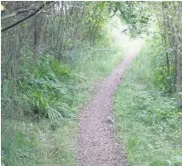  ??  ?? ●● Path into a wildlife oasis at Moston