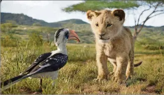  ?? WALT DISNEY STUDIOS By Ryan Faughnder ?? In “The Lion King,” young Simba, played by JD McCrary, talks with Zazu, an uptight red-billed hornbill, played by John Oliver.