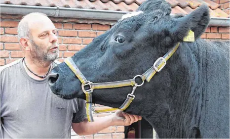  ?? FOTOS: DPA ?? Besitzer Freddy Janssen und Kuh Kelly: ein Herz und eine Seele.