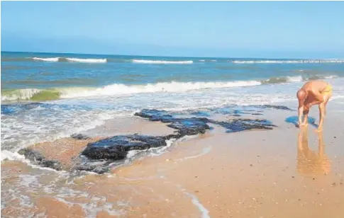  ?? ABC ?? Un bañista toca los restos de la plataforma fósil que deja ver la marea baja en Matalascañ­as//