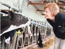  ?? MARISA WOJCIK, AP ?? Wisconsin Sen. Tammy Baldwin looks at calves after talks with dairy producers about Canadian trade barriers.