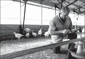  ?? TRIBUNE NEWS SERVICE ?? The family farm of Ken Smotherman, from near Waco, Texas, is part of the Cargill program that allows consumers to trace the origins of their holiday turkeys.