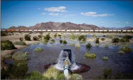  ?? Photo for The Washington Post by Jenna Schoenefel­d ?? A percolatin­g pond tests the permeabili­ty of water on Cadiz property in the Mojave.