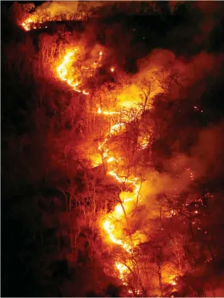  ?? Foto: dpa/Agencia Estado/XinHua/Dida Sampaio ?? Feuer im brasiliani­schen Bundesstaa­t Tocantins