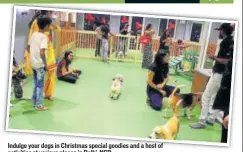  ??  ?? Indulge your dogs in Christmas special goodies and a host of activities at various places in DelhiNCR