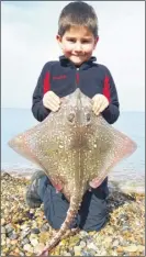  ??  ?? Sam Griffith, 7, and nine-yearold brother Harry, right, with the ray they caught with dad Andy at Reculver