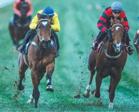  ?? Picture: GETTY IMAGES ?? Craig Newitt puts Lankan Rupee (left) through his paces in a trackwork session at Caulfield.