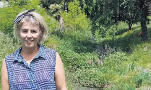  ?? PHOTO: SEAN NUGENT ?? To be rejuvenate­d . . . Funds raised from the Love Lake Wanaka campaign this year will go towards riparian planting throughout the Upper Clutha, including this overgrown section of Bullock Creek, Upper Clutha Lakes Trust water project manager Megan Williams says.