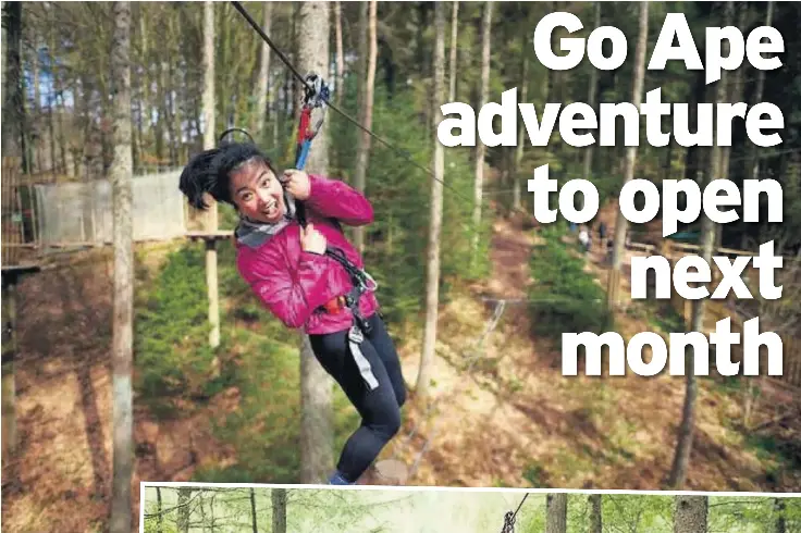 Go Ape Adventure To Open Next Month Pressreader