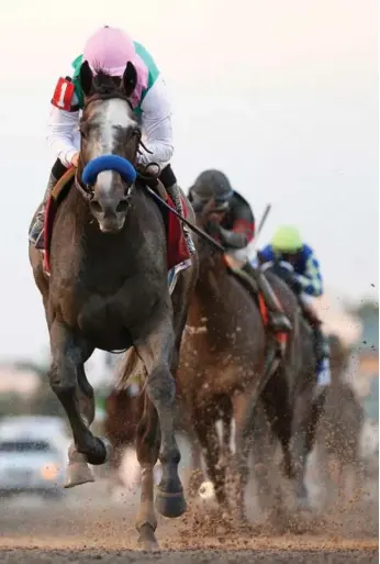  ?? MIKE EHRMANN/GETTY IMAGES ?? Mike Smith atop Arrogate crosses the finish line to win the $12-million Pegasus World Cup on Saturday.
