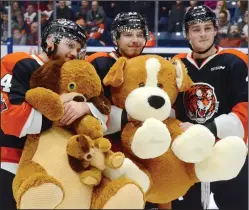  ?? NEWS PHOTO RYAN MCCRACKEN ?? Medicine Hat Tigers (from left) Ryan Jevne, Ryan Chyzowski and Tyler Preziuso stand with a couple big teddy bears during a break in play at the team’s annual Medicine Hat News Teddy Bear Toss game on Dec. 2, 2017 against the Brandon Wheat Kings at the Canalta Centre. The linemates went on to combine for 132 points with Medicine Hat last season.