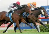  ?? TRISH DUNELL ?? Xpression, outside, is a warm favourite for the Group I 1000 Guineas at Riccarton today.